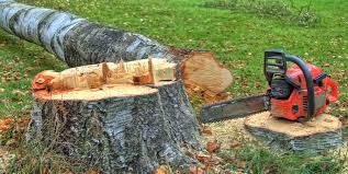 Best Arborist Consultation Services  in Buckeystown, MD