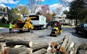 Best Lawn Mowing  in Buckeystown, MD